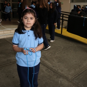 Día de la Actividad Física